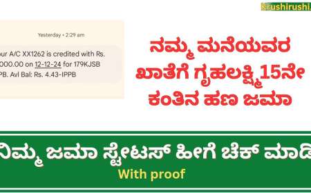 ನಮ್ಮ ಮನೆಯವರ ಖಾತೆಗೆ ಗೃಹಲಕ್ಷ್ಮಿ15ನೇ ಕಂತಿನ ಹಣ ಜಮಾ, ನಿಮ್ಮ ಜಮಾ ಸ್ಟೇಟಸ್ ಹೀಗೆ ಚೆಕ್ ಮಾಡಿ-Gruhalakshmi 15th instalment