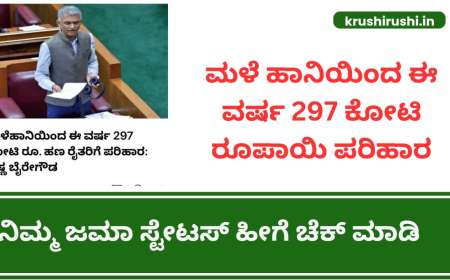 Input subsidy for crop loss-ಮಳೆ ಹಾನಿಯಿಂದ ಈ ವರ್ಷ 297 ಕೋಟಿ ರೂಪಾಯಿ ಹಣ ರೈತರಿಗೆ ಪರಿಹಾರ,ನಿಮ್ಮ ಜಮಾ ಸ್ಟೇಟಸ್ ಹೀಗೆ ಚೆಕ್ ಮಾಡಿ