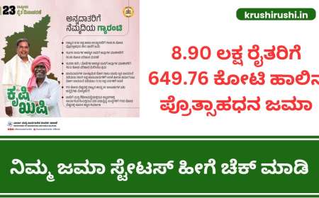 Milk incentive-8.90 ಲಕ್ಷ ರೈತರಿಗೆ 649.76 ಕೋಟಿ ಹಾಲಿನ ಪ್ರೋತ್ಸಾಹಧನ, ನಿಮ್ಮ ಖಾತೆಗೆ ಎಷ್ಟು ಜಮಾ ಆಯಿತು ಹೀಗೆ ಚೆಕ್ ಮಾಡಿ