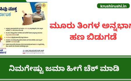 Annabhagya status-3 ತಿಂಗಳ ಅನ್ನಭಾಗ್ಯ ಹಣ ಜಮಾ,ನಿಮ್ಮ ಜಮಾ ಸ್ಟೇಟಸ್ ಹೀಗೆ ಚೆಕ್ ಮಾಡಿ