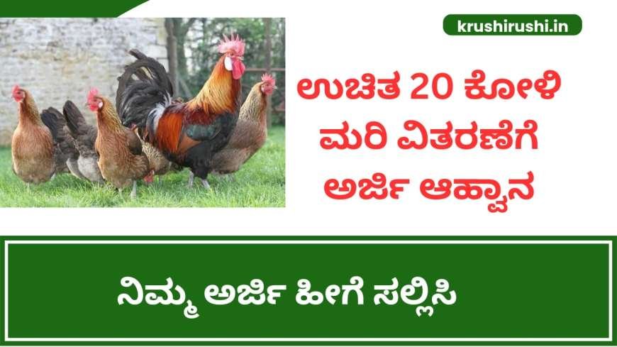 Koli sakanike-ಉಚಿತ 20 ಕೋಳಿ ಮರಿ ವಿತರಣೆಗೆ ಅರ್ಜಿ ಆಹ್ವಾನ, ನಿಮ್ಮ ಅರ್ಜಿ ಹೀಗೆ ಸಲ್ಲಿಸಿ