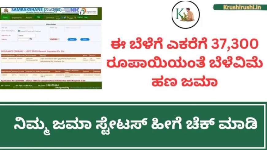 Bele vime status 2024-ಈ ಬೆಳೆಗೆ ಎಕರೆಗೆ 37,300 ರೂಪಾಯಿಯಂತೆ ಬೆಳೆವಿಮೆ ಹಣ ಜಮಾ,ನಿಮ್ಮ ಜಮಾ ಸ್ಟೇಟಸ್ ಹೀಗೆ ಚೆಕ್ ಮಾಡಿ