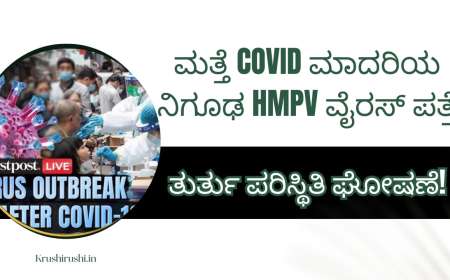 ಮತ್ತೆ COVID ಮಾದರಿಯ ನಿಗೂಢ HMPV ವೈರಸ್ ಪತ್ತೆ; ತುರ್ತು ಪರಿಸ್ಥಿತಿ ಘೋಷಣೆ!