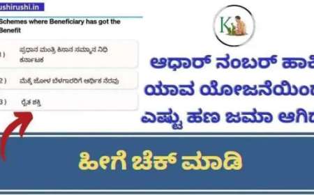 Dbt karnataka-ಆಧಾರ್ ನಂಬರ್ ಹಾಕಿ ಯಾವ ಯೋಜನೆಯಿಂದ ಎಷ್ಟು ಹಣ ಜಮೆ ಆಗಿದೆ,ನಿಮ್ಮ ಮೊಬೈಲ್ ನಲ್ಲೇ ಹೀಗೆ ಚೆಕ್ ಮಾಡಿ