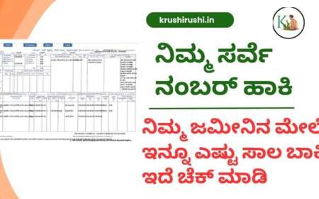 Bele sala-ಸರ್ವೇ ನಂಬರ್ ಹಾಕಿ ನಿಮ್ಮ ಜಮೀನಿನ ಮೇಲೆ ಎಷ್ಟು ಸಾಲ ಇದೆ ಎಂದು ಮೊಬೈಲ್ ನಲ್ಲೇ ಚೆಕ್ ಮಾಡಿ-crop loan status