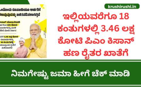 ಇಲ್ಲಿಯವರೆಗೂ 18 ಕಂತುಗಳಲ್ಲಿ 3.46 ಲಕ್ಷ ಕೋಟಿ ಪಿಎಂ ಕಿಸಾನ್ ಹಣ ರೈತರ ಖಾತೆಗೆ,ನಿಮಗೇಷ್ಟು ಜಮಾ ಹೀಗೆ ಚೆಕ್ ಮಾಡಿ-Pmkisan beneficiary status