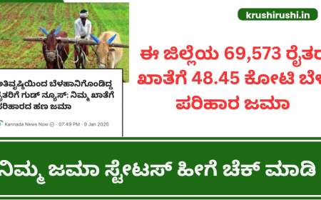 ಈ ಜಿಲ್ಲೆಯ 69,573 ರೈತರ ಖಾತೆಗೆ 48.45 ಕೋಟಿ ಬೆಳೆ ಪರಿಹಾರ ಜಮಾ,ನಿಮ್ಮ ಜಮಾ ಸ್ಟೇಟಸ್ ಹೀಗೆ ಚೆಕ್ ಮಾಡಿ -Input subsidy for croploss