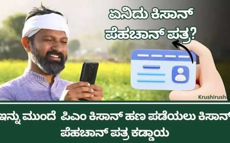 ಇನ್ನು ಮುಂದೆ Pm kisan ಹಣ ಪಡೆಯಲು ಕಿಸಾನ್ ಪೆಹಚಾನ್ ಪತ್ರ ಕಡ್ಡಾಯ,ಏನಿದು ಕಿಸಾನ್ ಪೆಹಚಾನ್ ಪತ್ರ?-Kisan-pehechan-pathra