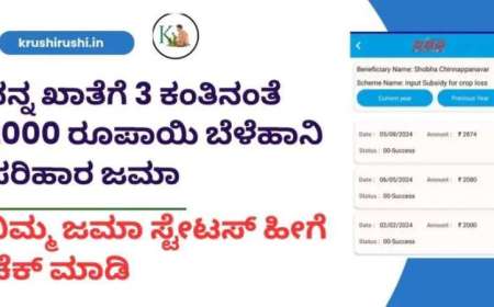 ನನ್ನ ಖಾತೆಗೆ 3 ಕಂತಿನಂತೆ 2000 ರೂಪಾಯಿ ಬೆಳೆಹಾನಿ ಪರಿಹಾರ ಜಮಾ-Input subsidy for croploss