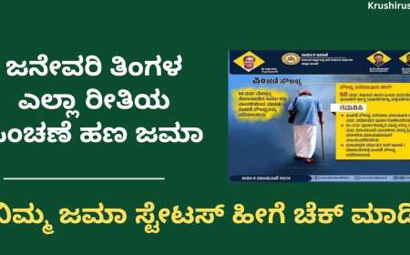 Pension amount-ಜನೇವರಿ ತಿಂಗಳ ಎಲ್ಲಾ ರೀತಿಯ ಪಿಂಚಣೆ ಹಣ ಜಮಾ,ನಿಮ್ಮ ಜಮಾ ಸ್ಟೇಟಸ್ ಹೀಗೆ ಚೆಕ್ ಮಾಡಿ