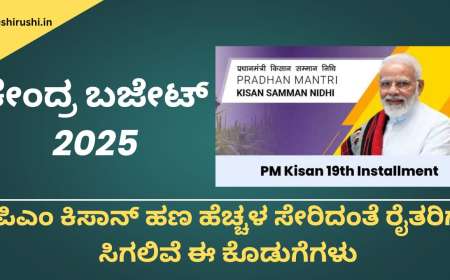 Union budget 2025-ಕೇಂದ್ರ ಬಜೇಟ್ 2025ರಲ್ಲಿ ಪಿಎಂ ಕಿಸಾನ್ ಹಣ ಹೆಚ್ಚಳ ಸೇರಿದಂತೆ ರೈತರಿಗೆ ಸಿಗಲಿವೆ ಈ ಕೊಡುಗೆಗಳು