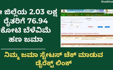 Bele vime-ಈ ಜಿಲ್ಲೆಯ 2.03 ಲಕ್ಷ ರೈತರಿಗೆ 76.94 ಕೋಟಿ ಬೆಳೆವಿಮೆ ಹಣ ಜಮಾ, ನಿಮ್ಮ ಜಮಾ ಸ್ಟೇಟಸ್ ಚೆಕ್ ಮಾಡುವ ಡೈರೆಕ್ಟ್ ಲಿಂಕ್