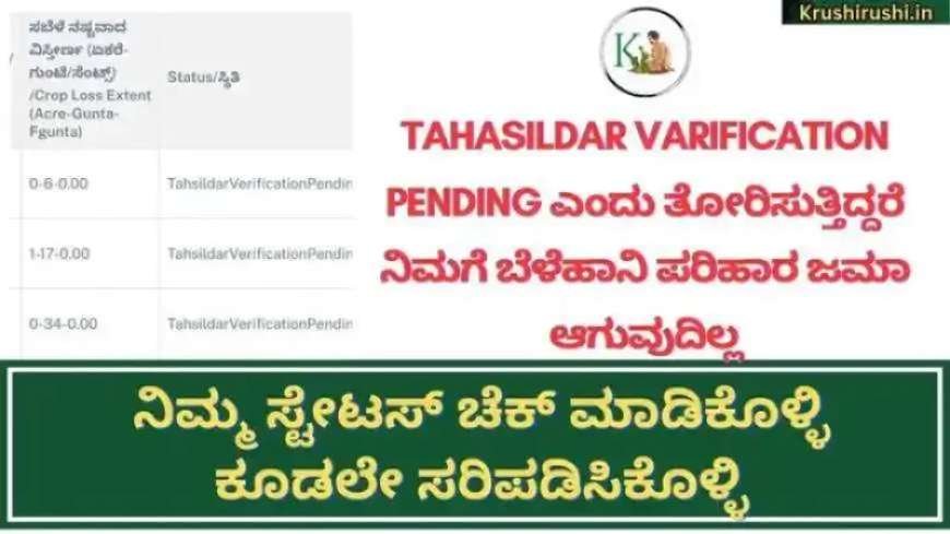 Tahasildar varification ಸ್ಟೇಟಸ್ ನಲ್ಲಿ approved ಎಂದು ತೋರಿಸುತ್ತಿದ್ದರೆ ಮಾತ್ರ ವಾರದೊಳಗೆ ಬೆಳೆಹಾನಿ ಪರಿಹಾರ ಜಮಾ, ನಿಮ್ಮ ಸ್ಟೇಟಸ್ ಚೆಕ್ ಮಾಡಿಕೊಳ್ಳಿ