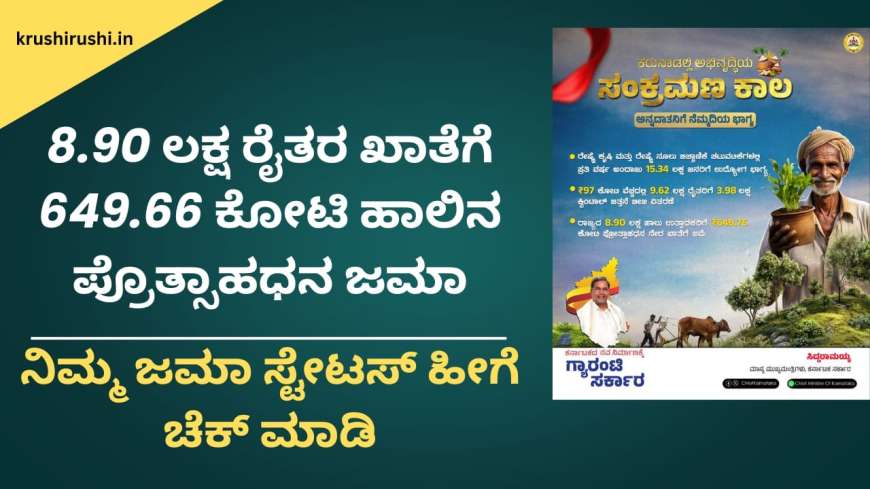 KMF Milk incentive-8.90 ಲಕ್ಷ ರೈತರ ಖಾತೆಗೆ 649.66 ಕೋಟಿ ಹಾಲಿನ ಪ್ರೊತ್ಸಾಹಧನ ಜಮಾ, ನಿಮ್ಮ ಜಮಾ ಸ್ಟೇಟಸ್ ಹೀಗೆ ಚೆಕ್ ಮಾಡಿ