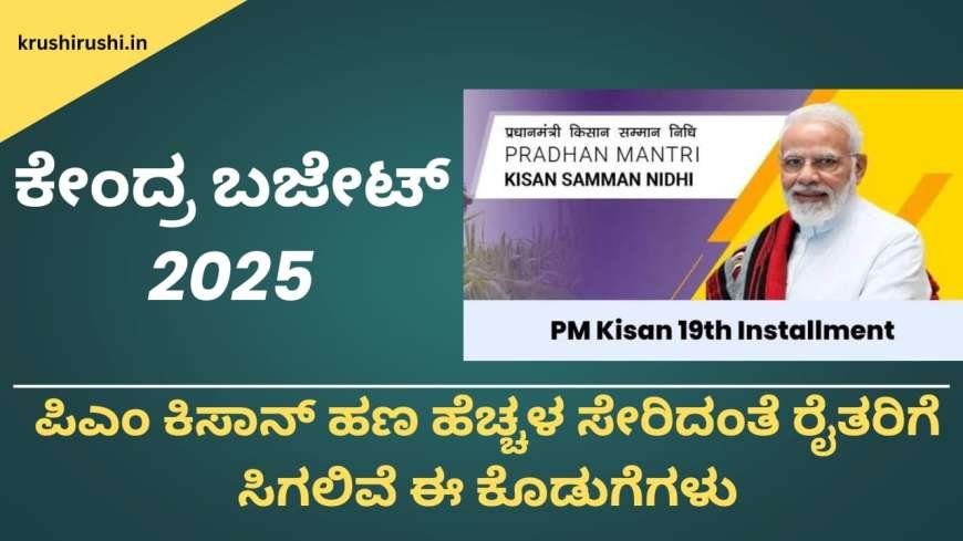 Union budget 2025-ಕೇಂದ್ರ ಬಜೇಟ್ 2025ರಲ್ಲಿ ಪಿಎಂ ಕಿಸಾನ್ ಹಣ ಹೆಚ್ಚಳ ಸೇರಿದಂತೆ ರೈತರಿಗೆ ಸಿಗಲಿವೆ ಈ ಕೊಡುಗೆಗಳು