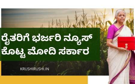 Union budget 2025-ರೈತರಿಗೆ ಭರ್ಜರಿ ನ್ಯೂಸ್ ಕೊಟ್ಟ ಮೋದಿ ಸರ್ಕಾರ