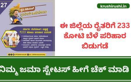 Input subsidy for croploss-ಈ 4 ಜಿಲ್ಲೆಯ ರೈತರಿಗೆ 233 ಕೋಟಿ ಬೆಳೆ ಪರಿಹಾರ ಬಿಡುಗಡೆ