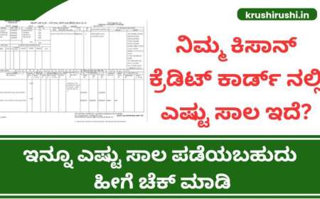 Kisan credit card 2025-ಕಿಸಾನ್ ಕ್ರೆಡಿಟ್ ಕಾರ್ಡ್ ಸಾಲ 5 ಲಕ್ಷಕ್ಕೆ ಹೆಚ್ಚಳ,ನಿಮ್ಮ ಕಾರ್ಡ್ ನಲ್ಲಿ ಎಷ್ಟು ಸಾಲ ಪಡೆಯಬಹುದು ಹೀಗೆ ಚೆಕ್ ಮಾಡಿ