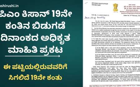 Pmkisan 19th instalment date announced-ಪಿಎಂ ಕಿಸಾನ್ 19ನೇ ಕಂತಿನ ಬಿಡುಗಡೆ ದಿನಾಂಕದ ಅಧಿಕೃತ ಮಾಹಿತಿ ಪ್ರಕಟ, ಈ ಪಟ್ಟಿಯಲ್ಲಿರುವವರಿಗೆ ಸಿಗಲಿದೆ 19ನೇ ಕಂತು