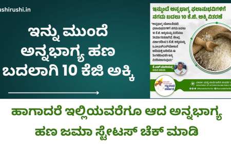 Annabhagya amount status check-ಇನ್ನು ಮುಂದೆ ಅನ್ನಭಾಗ್ಯ ಹಣ ಬದಲಾಗಿ 10 ಕೆಜಿ ಅಕ್ಕಿ,ಹಾಗಾದರೆ ಇಲ್ಲಿಯವರೆಗೂ ಜಮಾ ಆದ ಅನ್ನಭಾಗ್ಯ ಹಣ ಜಮಾ ಸ್ಟೇಟಸ್ ಚೆಕ್ ಮಾಡಿ