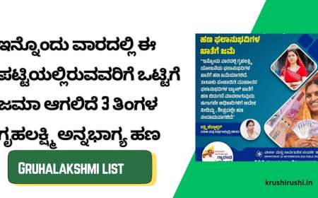 Gruhalakshmi list-ಇನ್ನೊಂದು ವಾರದಲ್ಲಿ ಈ ಪಟ್ಟಿಯಲ್ಲಿರುವವರಿಗೆ ಒಟ್ಟಿಗೆ ಜಮಾ ಆಗಲಿದೆ 3 ತಿಂಗಳ ಗೃಹಲಕ್ಷ್ಮಿ ಅನ್ನಭಾಗ್ಯ ಹಣ