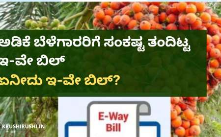 Arecanut problem-ಅಡಿಕೆ ಬೆಳೆಗಾರರಿಗೆ ಇ-ವೇ ಬಿಲ್ ಪ್ರಹಾರ! ಏನೀದು ಇ-ವೇ ಬಿಲ್?