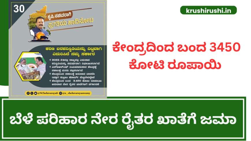 Input subsidy for crop loss-ಕೇಂದ್ರದಿಂದ ಬಂದ 3450 ಕೋಟಿ ರೂಪಾಯಿ ಬೆಳೆ ಪರಿಹಾರ ನೇರ ರೈತರ ಖಾತೆಗೆ ಜಮಾ