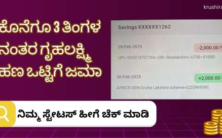 Gruhalakshmi payment status-ಕೊನೆಗೂ 3 ತಿಂಗಳ ನಂತರ ಗೃಹಲಕ್ಷ್ಮಿ ಹಣ ಒಟ್ಟಿಗೆ ಜಮಾ,ನಿಮ್ಮ ಸ್ಟೇಟಸ್ ಹೀಗೆ ಚೆಕ್ ಮಾಡಿ