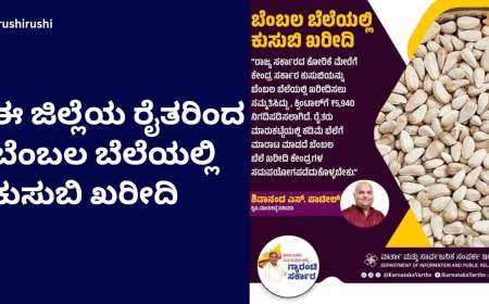 Kusube bembala bele-ಈ ಜಿಲ್ಲೆಯ ರೈತರಿಂದ ಬೆಂಬಲ ಬೆಲೆಯಡಿ ಕುಸುಬಿ ಖರೀದಿ
