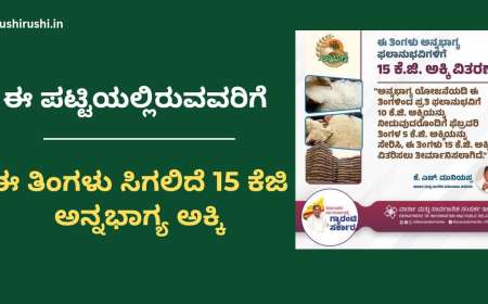 Annabhagya list-ಈ ಪಟ್ಟಿಯಲ್ಲಿರುವವರಿಗೆ ಈ ತಿಂಗಳು ಸಿಗಲಿದೆ 15 ಕೆಜಿ ಅನ್ನಭಾಗ್ಯ ಅಕ್ಕಿ