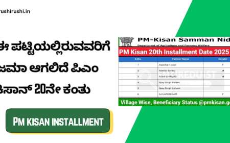 Pmkisan 20th instalment-ಈ ಪಟ್ಟಿಯಲ್ಲಿರುವವರಿಗೆ ಜಮಾ ಆಗಲಿದೆ ಪಿಎಂ ಕಿಸಾನ್ 20ನೇ ಕಂತು
