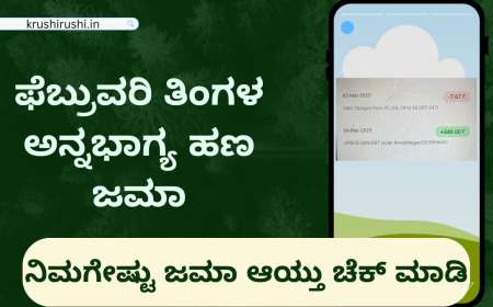 February month Annabhagya amount-ಫೆಬ್ರುವರಿ ತಿಂಗಳ ಅನ್ನಭಾಗ್ಯ ಹಣ ಜಮಾ, ನಿಮಗೇಷ್ಟು ಜಮಾ ಆಯ್ತು ಚೆಕ್ ಮಾಡಿ