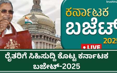 Karnataka budget 2025-ರೈತರಿಗೆ ಸಿಹಿಸುದ್ದಿ ಕೊಟ್ಟ ಕರ್ನಾಟಕ ಬಜೇಟ್-2025