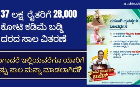Bele sala manna-37 ಲಕ್ಷ  ರೈತರಿಗೆ 28,000 ಕೋಟಿ ಕಡಿಮೆ ಬಡ್ಡಿ ದರದ ಸಾಲ ವಿತರಣೆ,ಹಾಗಾದರೆ ಇಲ್ಲಿಯವರೆಗೂ ಯಾರಿಗೆ ಎಷ್ಟು ಸಾಲ ಮನ್ನಾ ಮಾಡಲಾಗಿದೆ?