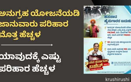 Anugraha yojane-ಅನುಗ್ರಹ ಯೋಜನೆಯಡಿ ಜಾನುವಾರು ಪರಿಹಾರ ಮೊತ್ತ ಹೆಚ್ಚಳ, ಯಾವುದಕ್ಕೆ ಎಷ್ಟು ಪರಿಹಾರ ಹೆಚ್ಚಳ?