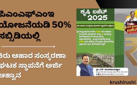PMFME subsidy scheme-ಪಿಎಂಎಫ್ಎಂಇ ಯೋಜನೆಯಡಿ 50% ಸಬ್ಸಿಡಿಯಲ್ಲಿ 5000 ಕಿರು ಆಹಾರ ಸಂಸ್ಕರಣಾ ಘಟಕ ಸ್ಥಾಪನೆ,ನಿಮ್ಮ ಅರ್ಜಿ ಹೀಗೆ ಸಲ್ಲಿಸಿ
