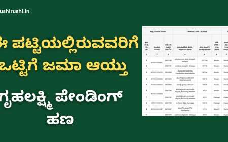 Gruhalakshmi list-ಈ ಪಟ್ಟಿಯಲ್ಲಿರುವವರಿಗೆ ಕೊನೆಗೂ ಒಟ್ಟಿಗೆ ಜಮಾ ಆಯ್ತು ಗೃಹಲಕ್ಷ್ಮಿ ಪೇಂಡಿಂಗ್ ಹಣ