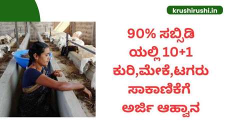 Kuri sakanike yojane-90% ಸಬ್ಸಿಡಿಯಲ್ಲಿ 10+1 ಕುರಿ,ಮೇಕೆ,ಟಗರು ಸಾಕಾಣಿಕೆಗೆ ಅರ್ಜಿ ಆಹ್ವಾನ