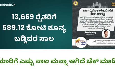 Bele sala manna-13,669 ರೈತರಿಗೆ 589.12 ಕೋಟಿ ಶೂನ್ಯ ಬಡ್ಡಿದರ ಸಾಲ, ಇಲ್ಲಿಯವರೆಗೂ ಯಾರಿಗೆ ಎಷ್ಟು ಸಾಲ ಮನ್ನಾ ಆಗಿದೆ ಚೆಕ್ ಮಾಡಿ