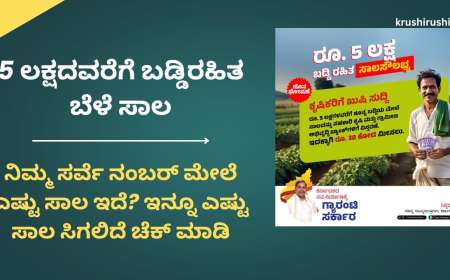 Without interest loan-5 ಲಕ್ಷದವರೆಗೆ ಬಡ್ಡಿರಹಿತ ಬೆಳೆ ಸಾಲ, ನಿಮ್ಮ ಸರ್ವೆ ನಂಬರ್ ಮೇಲೆ ಎಷ್ಟು ಸಾಲ ಇದೆ? ಇನ್ನೂ ಎಷ್ಟು ಸಾಲ ಸಿಗಲಿದೆ ಚೆಕ್ ಮಾಡಿ