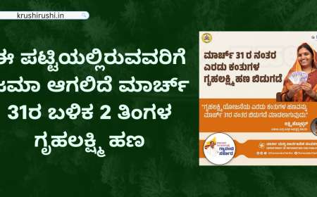 Gruhalakshmi list-ಇದೇ ದಿನ ಜಮಾ ಆಗಲಿದೆ ಈ ಪಟ್ಟಿಯಲ್ಲಿರುವವರಿಗೆ 2 ತಿಂಗಳ ಗೃಹಲಕ್ಷ್ಮಿ ಹಣ