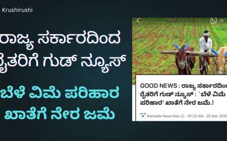 Bele parihara-ರಾಜ್ಯ ಸರ್ಕಾರದಿಂದ ರೈತರಿಗೆ ಗುಡ್ ನ್ಯೂಸ್, ಬೆಳೆ ವಿಮೆ ಪರಿಹಾರ ಖಾತೆಗೆ ನೇರ ಜಮೆ