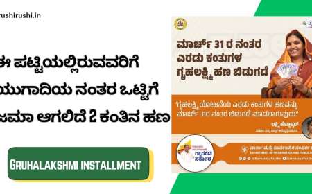 Gruhalakshmi list-ಈ ಪಟ್ಟಿಯಲ್ಲಿರುವವರಿಗೆ ಯುಗಾದಿಯ ನಂತರ ಒಟ್ಟಿಗೆ ಜಮಾ ಆಗಲಿದೆ 2 ಕಂತಿನ ಹಣ
