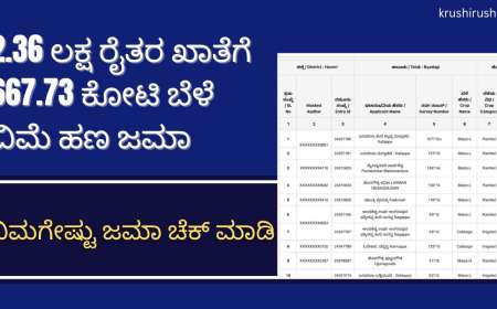 Bele vime-2.36 ಲಕ್ಷ ರೈತರ ಖಾತೆಗೆ 667.73 ಕೋಟಿ ಬೆಳೆ ವಿಮೆ ಹಣ ಜಮಾ,ನಿಮಗೇಷ್ಟು ಜಮಾ ಚೆಕ್ ಮಾಡಿ