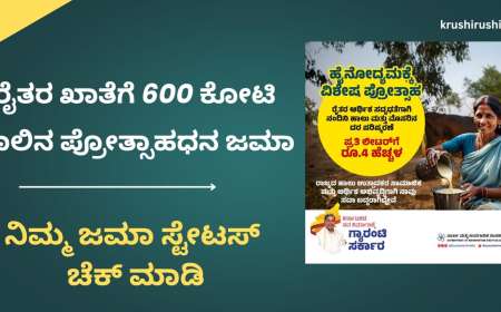 Milk incentive-ರೈತರ ಖಾತೆಗೆ 600 ಕೋಟಿ ಹಾಲಿನ ಪ್ರೋತ್ಸಾಹಧನ ಬಿಡುಗಡೆ
