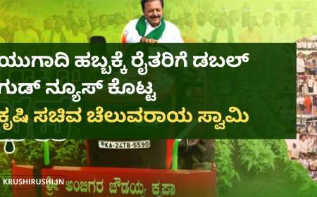 Yugadi good news-ಯುಗಾದಿ ಹಬ್ಬಕ್ಕೆ ರೈತರಿಗೆ ಡಬಲ್ ಗುಡ್ ನ್ಯೂಸ್ ಕೊಟ್ಟ ಕೃಷಿ ಸಚಿವ ಚೆಲುವರಾಯ ಸ್ವಾಮಿ
