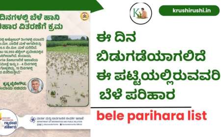 Bele parihara list 2024-25:ಯುಗಾದಿ ಹಬ್ಬಕ್ಕೆ ಸಿಹಿಸುದ್ದಿ ಕೊಟ್ಟ ರಾಜ್ಯ ಸರ್ಕಾರ,ಈ ದಿನ ಬಿಡುಗಡೆಯಾಗಲಿದೆ ಈ ಪಟ್ಟಿಯಲ್ಲಿರುವವರಿಗೆ ಬೆಳೆ ಪರಿಹಾರ