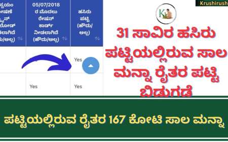 Belesala manna patti bidugade-31 ಸಾವಿರ ಹಸಿರು ಪಟ್ಟಿಯಲ್ಲಿರುವ ಸಾಲ ಮನ್ನಾ ರೈತರ ಪಟ್ಟಿ ಬಿಡುಗಡೆ, ಪಟ್ಟಿಯಲ್ಲಿರುವ ರೈತರ 167 ಕೋಟಿ ಸಾಲ ಮನ್ನಾ