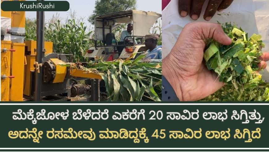 Silage business-ಮೆಕ್ಕೆಜೋಳ ಬೆಳೆಗೆ ಎಕರೆಗೆ 20,೦೦೦ ಲಾಭ ಸಿಗ್ತಿತ್ತು,ಅದನ್ನೇ ರಸಮೇವು ಮಾಡಿದ್ದಕ್ಕೆ 45 ಸಾವಿರ ಲಾಭ ಸಿಗ್ತಿದೆ