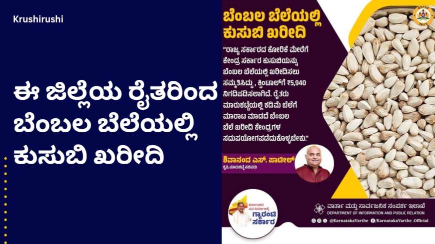 Kusube bembala bele-ಈ ಜಿಲ್ಲೆಯ ರೈತರಿಂದ ಬೆಂಬಲ ಬೆಲೆಯಡಿ ಕುಸುಬಿ ಖರೀದಿ